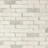 Chalk Dust