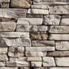 Whitebark