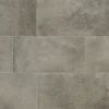 Traktion Calypso Graphite