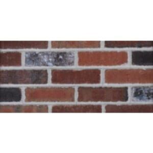 Watsontown Brick-  Georgetowne Tumbled Black and White