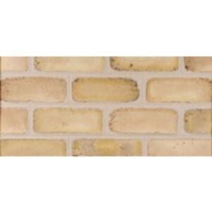 Watsontown Brick- Lehigh