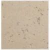 Oyster Shell Travertine