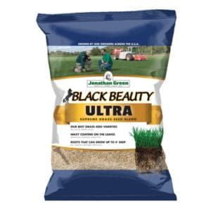 Grass Seeds