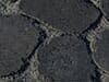 Coal